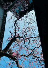 公主只想睡遍后宫（男生子NPH公主只想睡遍后宫（男生子NPH